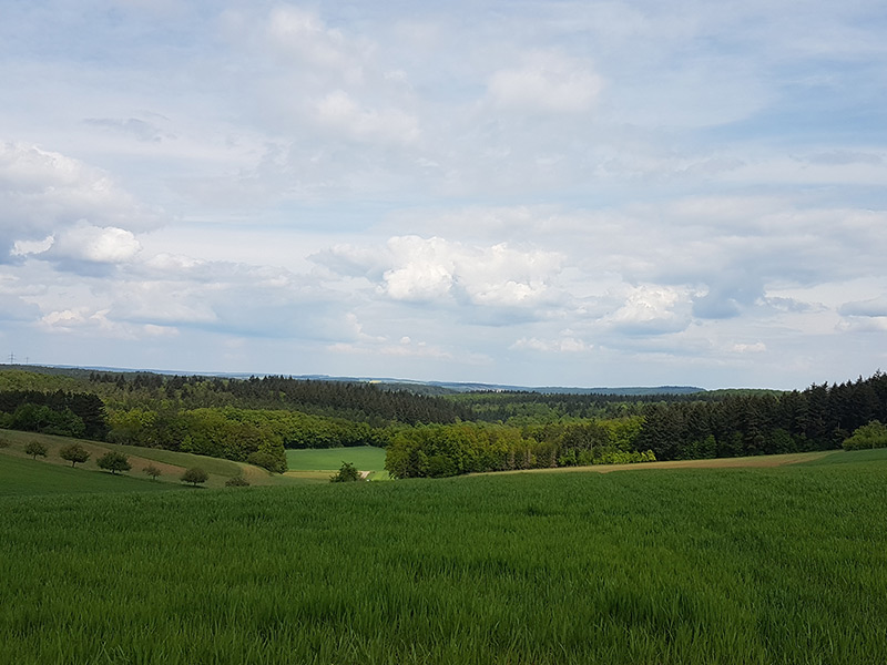 Oberlauda – Geburtsort des Lyrikers Johann Martin Schleyer